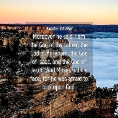 Picture 04 - Exodus 3:6 ASV - Moreover he said, I am the God of thy father, the - Bible Verse Picture