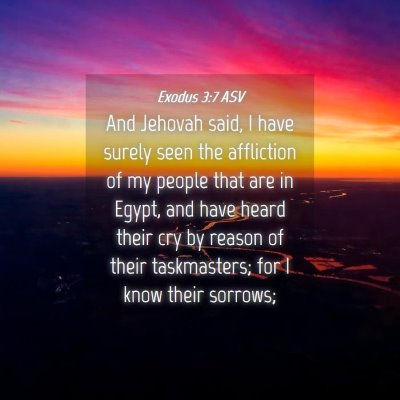Picture 04 - Exodus 3:7 ASV - And Jehovah said, I have surely seen the - Bible Verse Picture