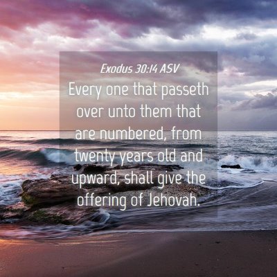 Picture 04 - Exodus 30:14 ASV - Every one that passeth over unto them that are - Bible Verse Picture