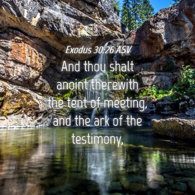 Picture 04 - Exodus 30:26 ASV - And thou shalt anoint therewith the tent of - Bible Verse Picture