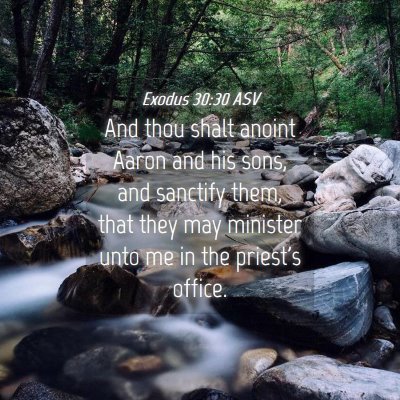 Picture 04 - Exodus 30:30 ASV - And thou shalt anoint Aaron and his sons, and - Bible Verse Picture