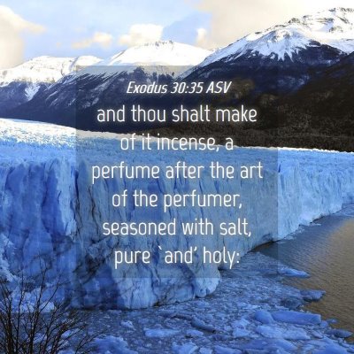 Picture 04 - Exodus 30:35 ASV - and thou shalt make of it incense, a perfume - Bible Verse Picture