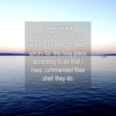 Picture 04 - Exodus 31:11 ASV - and the anointing oil, and the incense of sweet - Bible Verse Picture
