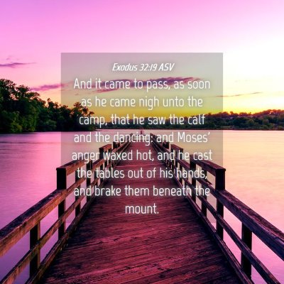 Picture 04 - Exodus 32:19 ASV - And it came to pass, as soon as he came nigh unto - Bible Verse Picture