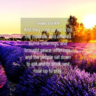 Picture 04 - Exodus 32:6 ASV - And they rose up early on the morrow, and offered - Bible Verse Picture