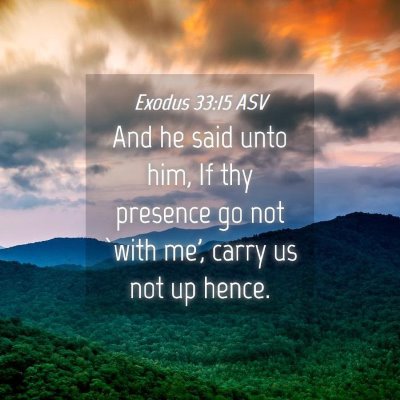 Picture 04 - Exodus 33:15 ASV - And he said unto him, If thy presence go not - Bible Verse Picture