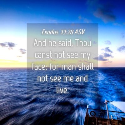 Picture 04 - Exodus 33:20 ASV - And he said, Thou canst not see my face; for man - Bible Verse Picture