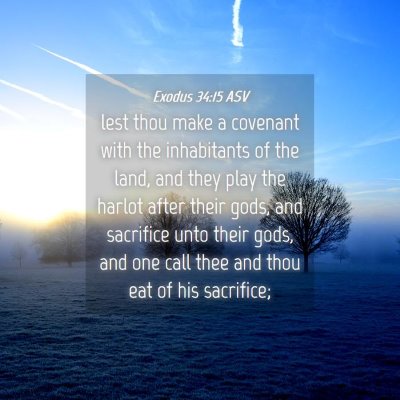 Picture 04 - Exodus 34:15 ASV - lest thou make a covenant with the inhabitants of - Bible Verse Picture