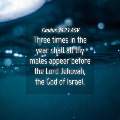 Picture 04 - Exodus 34:23 ASV - Three times in the year shall all thy males - Bible Verse Picture