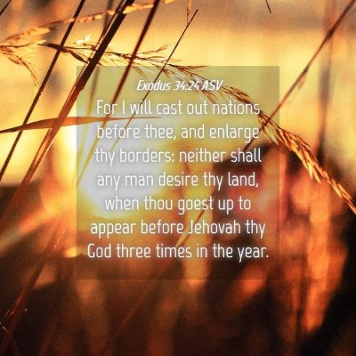 Picture 04 - Exodus 34:24 ASV - For I will cast out nations before thee, and - Bible Verse Picture