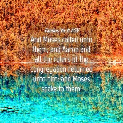 Picture 04 - Exodus 34:31 ASV - And Moses called unto them; and Aaron and all the - Bible Verse Picture