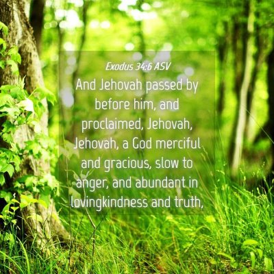 Picture 04 - Exodus 34:6 ASV - And Jehovah passed by before him, and proclaimed, - Bible Verse Picture