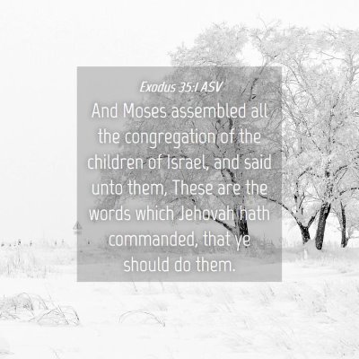 Picture 04 - Exodus 35:1 ASV - And Moses assembled all the congregation of the - Bible Verse Picture