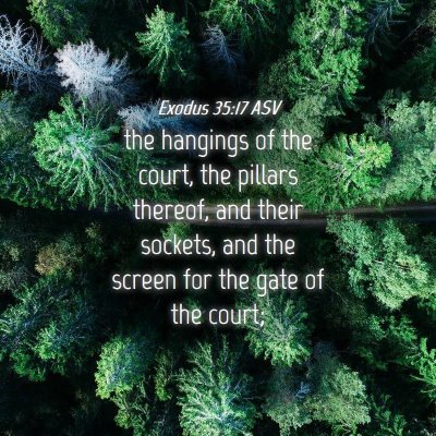 Picture 04 - Exodus 35:17 ASV - the hangings of the court, the pillars thereof, - Bible Verse Picture