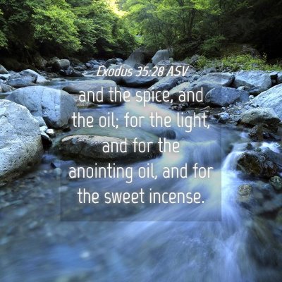Picture 04 - Exodus 35:28 ASV - and the spice, and the oil; for the light, and - Bible Verse Picture