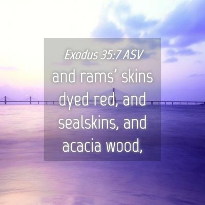 Picture 04 - Exodus 35:7 ASV - and rams' skins dyed red, and sealskins, and - Bible Verse Picture
