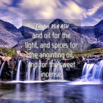 Picture 04 - Exodus 35:8 ASV - and oil for the light, and spices for the - Bible Verse Picture