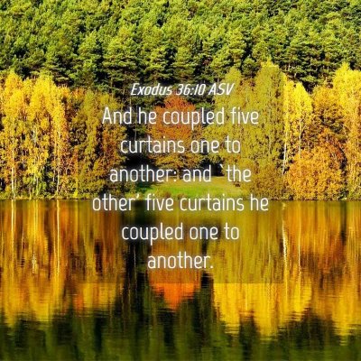 Picture 04 - Exodus 36:10 ASV - And he coupled five curtains one to another: and - Bible Verse Picture