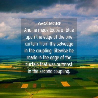 Picture 04 - Exodus 36:11 ASV - And he made loops of blue upon the edge of the - Bible Verse Picture