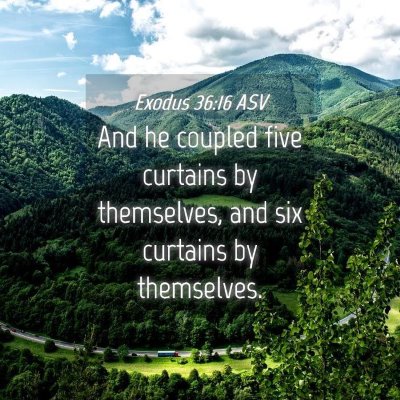 Picture 04 - Exodus 36:16 ASV - And he coupled five curtains by themselves, and - Bible Verse Picture