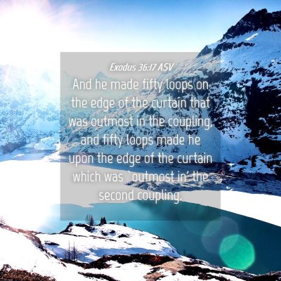 Picture 04 - Exodus 36:17 ASV - And he made fifty loops on the edge of the - Bible Verse Picture