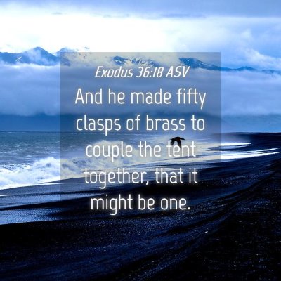 Picture 04 - Exodus 36:18 ASV - And he made fifty clasps of brass to couple the - Bible Verse Picture