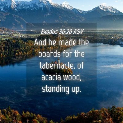 Picture 04 - Exodus 36:20 ASV - And he made the boards for the tabernacle, of - Bible Verse Picture