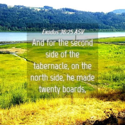 Picture 04 - Exodus 36:25 ASV - And for the second side of the tabernacle, on the - Bible Verse Picture