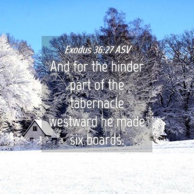 Picture 04 - Exodus 36:27 ASV - And for the hinder part of the tabernacle - Bible Verse Picture