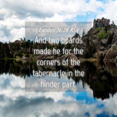 Picture 04 - Exodus 36:28 ASV - And two boards made he for the corners of the - Bible Verse Picture