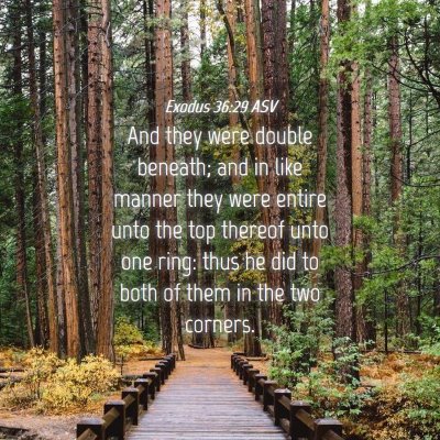 Picture 04 - Exodus 36:29 ASV - And they were double beneath; and in like manner - Bible Verse Picture