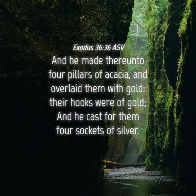 Picture 04 - Exodus 36:36 ASV - And he made thereunto four pillars of acacia, and - Bible Verse Picture