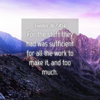 Picture 04 - Exodus 36:7 ASV - For the stuff they had was sufficient for all the - Bible Verse Picture