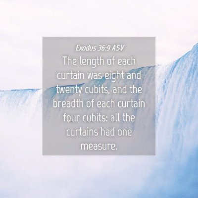 Picture 04 - Exodus 36:9 ASV - The length of each curtain was eight and twenty - Bible Verse Picture