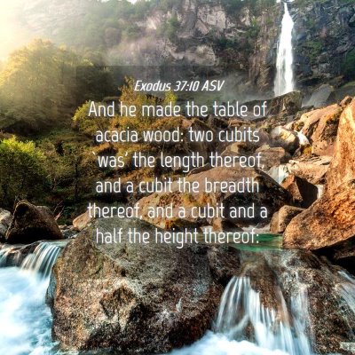 Picture 04 - Exodus 37:10 ASV - And he made the table of acacia wood: two cubits - Bible Verse Picture