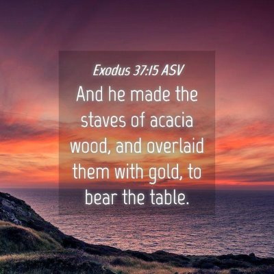Picture 04 - Exodus 37:15 ASV - And he made the staves of acacia wood, and - Bible Verse Picture