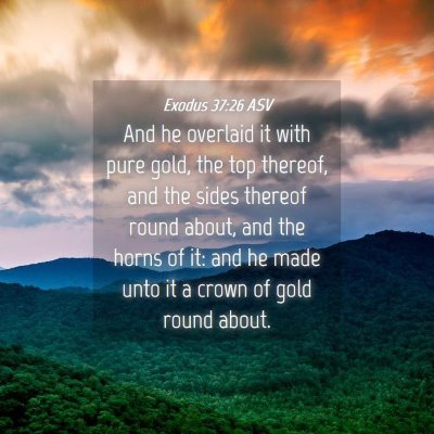 Picture 04 - Exodus 37:26 ASV - And he overlaid it with pure gold, the top - Bible Verse Picture