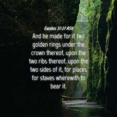 Picture 04 - Exodus 37:27 ASV - And he made for it two golden rings under the - Bible Verse Picture