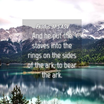 Picture 04 - Exodus 37:5 ASV - And he put the staves into the rings on the sides - Bible Verse Picture