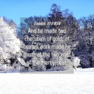 Picture 04 - Exodus 37:7 ASV - And he made two cherubim of gold; of beaten work - Bible Verse Picture