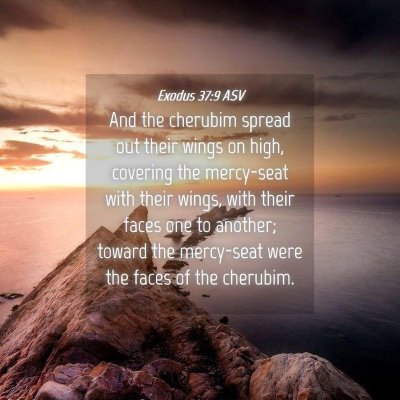 Picture 04 - Exodus 37:9 ASV - And the cherubim spread out their wings on high, - Bible Verse Picture