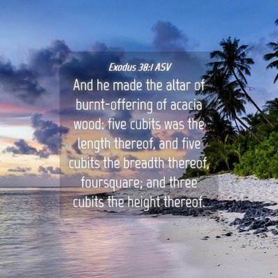 Picture 04 - Exodus 38:1 ASV - And he made the altar of burnt-offering of acacia - Bible Verse Picture
