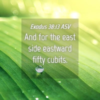 Picture 04 - Exodus 38:13 ASV - And for the east side eastward fifty - Bible Verse Picture