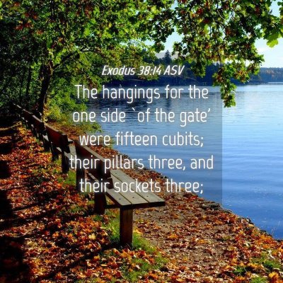 Picture 04 - Exodus 38:14 ASV - The hangings for the one side `of the gate' were - Bible Verse Picture