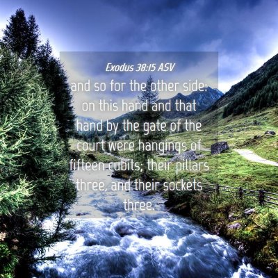 Picture 04 - Exodus 38:15 ASV - and so for the other side: on this hand and that - Bible Verse Picture