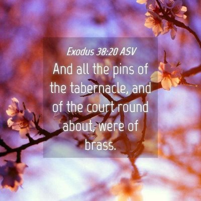 Picture 04 - Exodus 38:20 ASV - And all the pins of the tabernacle, and of the - Bible Verse Picture