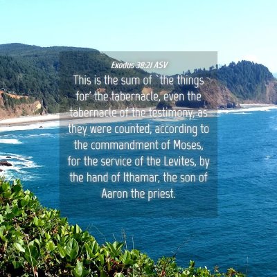 Picture 04 - Exodus 38:21 ASV - This is the sum of `the things for' the - Bible Verse Picture
