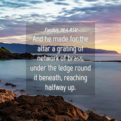 Picture 04 - Exodus 38:4 ASV - And he made for the altar a grating of network of - Bible Verse Picture