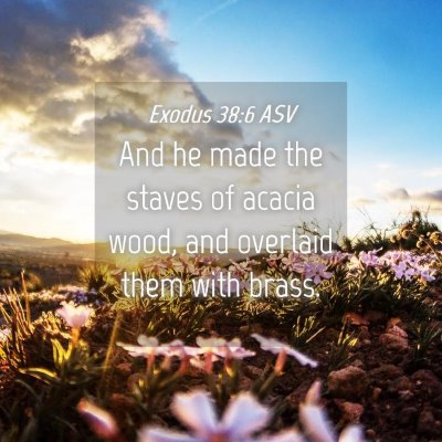 Picture 04 - Exodus 38:6 ASV - And he made the staves of acacia wood, and - Bible Verse Picture
