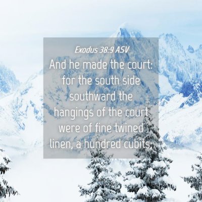 Picture 04 - Exodus 38:9 ASV - And he made the court: for the south side - Bible Verse Picture